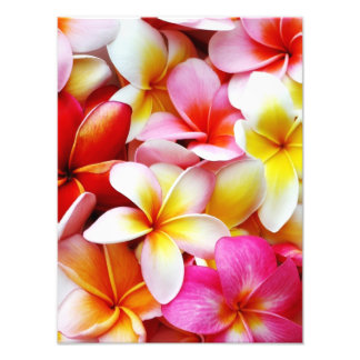Plumeria Frangipani Hawaii Gepersonaliseerd Foto Afdruk