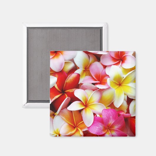 Plumeria Frangipani Hawaii Gepersonaliseerd Magneet (Voorkant / Achterkant)