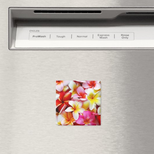 Plumeria Frangipani Hawaii Gepersonaliseerd Magneet (Insitu (Vaatwasser))