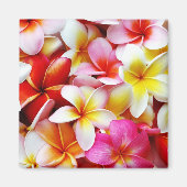 Plumeria Frangipani Hawaii Gepersonaliseerd Magneet (Voorkant)