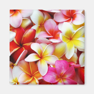 Plumeria Frangipani Hawaii Gepersonaliseerd Magneet