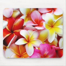 Plumeria Frangipani Hawaii Gepersonaliseerd