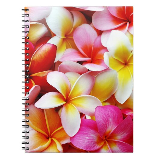 Plumeria Frangipani Hawaii Gepersonaliseerd Notitieboek (Voorkant)