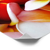 Plumeria Frangipani Hawaii Gepersonaliseerd Poster (Hoek)