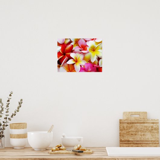 Plumeria Frangipani Hawaii Gepersonaliseerd Poster (Keuken)