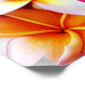 Plumeria Frangipani Hawaii Gepersonaliseerd Poster (Hoek)