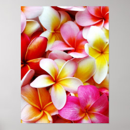 Plumeria Frangipani Hawaii Gepersonaliseerd Poster