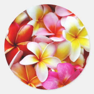Plumeria Frangipani Hawaii Gepersonaliseerd Ronde Sticker