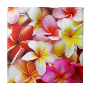 Plumeria Frangipani Hawaii Gepersonaliseerd Tegeltje
