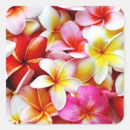 Plumeria Frangipani Hawaii Gepersonaliseerd Vierkante Sticker