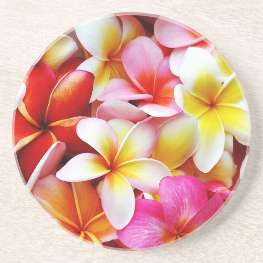 Plumeria Frangipani Hawaii Gepersonaliseerd Zandsteen Onderzetter (Voorkant)