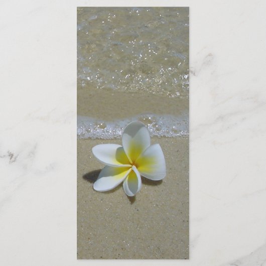 Plumeria Frangipani Op Zand Trouw  Menu (Achterkant)