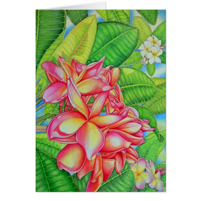 Plumeria Garden (Voorkant)