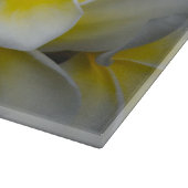 Plumeria, gele bloem fotografie snijplank (Hoek)