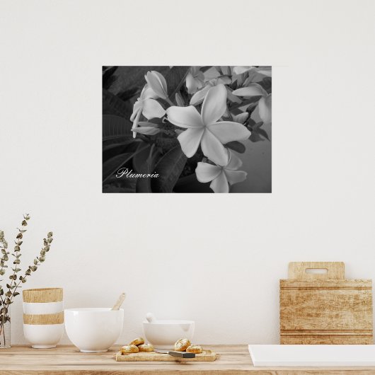 plumeria - Gepersonaliseerd Poster (Keuken)