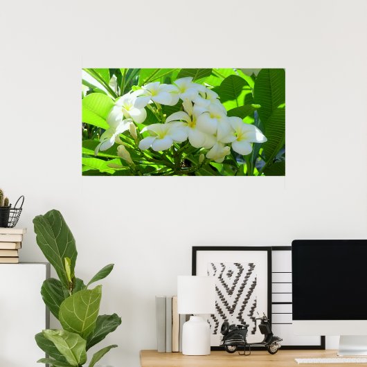 Plumeria Greeting Morning Poster (Thuiskantoor)