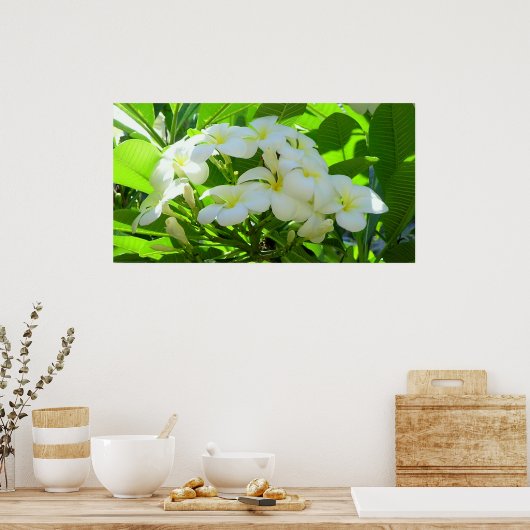 Plumeria Greeting Morning Poster (Keuken)
