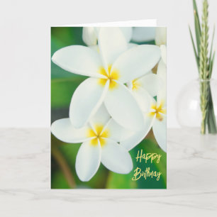 Plumeria Happy Birthday-kaart Bedankkaart