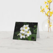 Plumeria Hawaiian Flower Foto op Note Kaart (Gele Bloem)