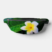plumeria heuptasje (Liggend)
