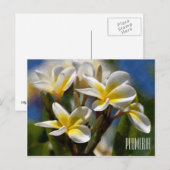 Plumeria Horizontal Briefkaart (Voorkant / Achterkant)