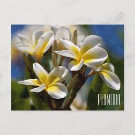 Plumeria Horizontal Briefkaart