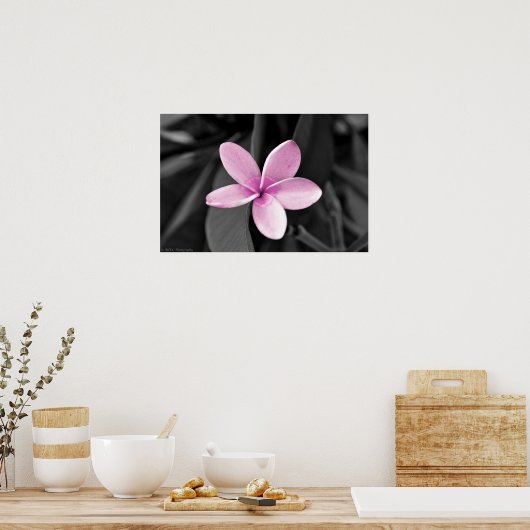 Plumeria in Bloom Poster (Keuken)