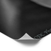 Plumeria in Bloom Poster (Hoek)