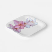 Plumeria in roze papieren Bord (Gebogen)