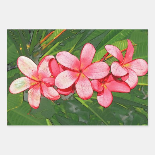 plumeria inpakpapier vel (Voorkant)