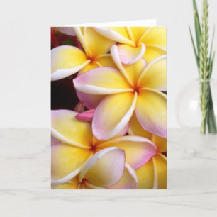 Plumeria Kaart