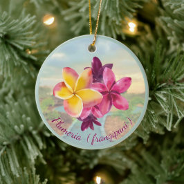 Plumeria Keramisch Ornament