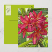 Plumeria - Kunstmatig ontwerp op Briefkaart (Voorkant / Achterkant)