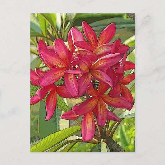 Plumeria - Kunstmatig ontwerp op Briefkaart (Voorkant)