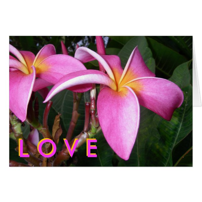Plumeria L O V E (Voorkant Horizontaal)