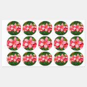 plumeria labels (Vel)