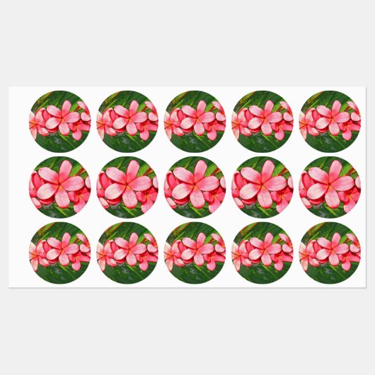 plumeria labels (Vel)