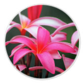 Plumeria-lade Keramische Knop (Voorkant)