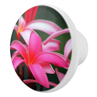 Plumeria-lade Keramische Knop