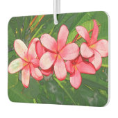 Plumeria Luchtverfrisser (Links)