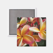 plumeria magneet (Voorkant / Achterkant)