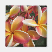 plumeria magneet (Voorkant)