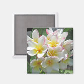 Plumeria Magnet (Voorkant / Achterkant)