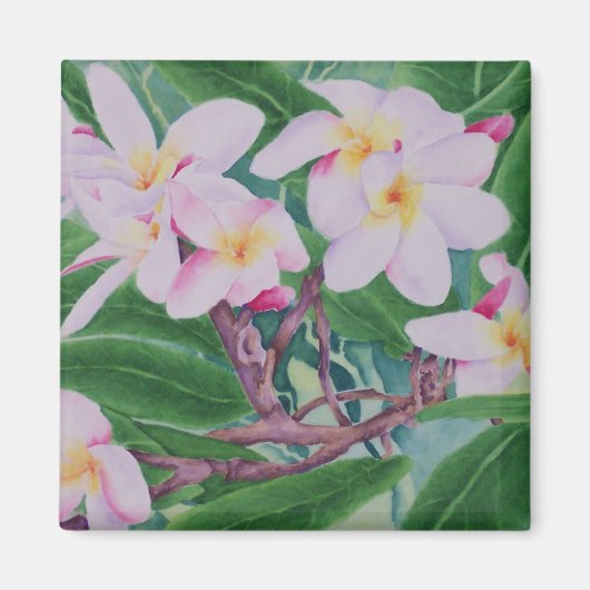 Plumeria Magnet (Voorkant)