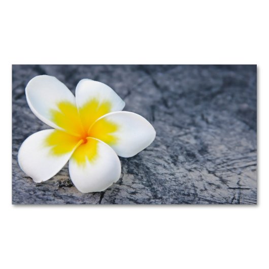 plumeria magnetisch visitekaartje (Voorkant)