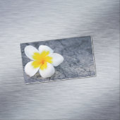 plumeria magnetisch visitekaartje (Voorbeeld)