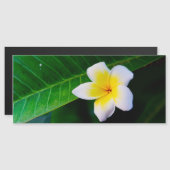 plumeria magnetische uitnodiging (Voorkant / Achterkant)