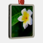 Plumeria Metalen Ornament (Rechts)