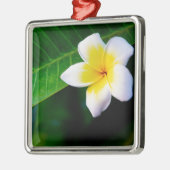 Plumeria Metalen Ornament (Links)