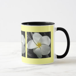 Plumeria-Mok Mok